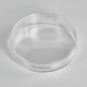 Cell Culture Dish 60mm