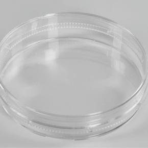 Cell Culture Dish 150mm