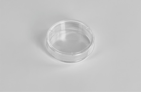 cell culture dish 35mm_ad.jpg