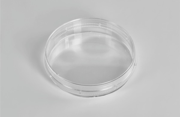 cell culture dish 60mm_ad.jpg