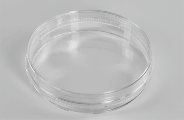 cell culture dish 150mm_ad.jpg